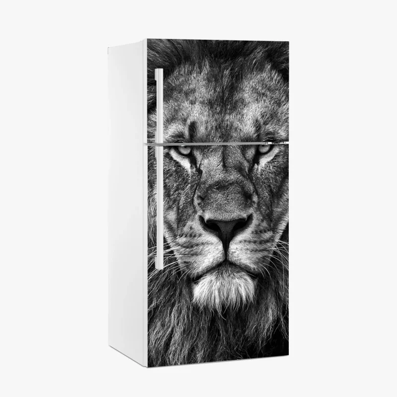 Fridge sticker majestic lion portrait in monochrome