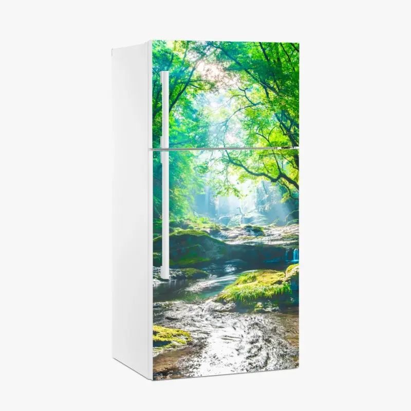 Fridge sticker sunlit forest stream with mossy rocks