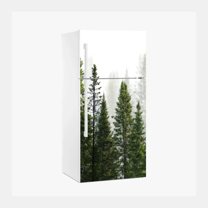 Fridge sticker misty fir forest panorama