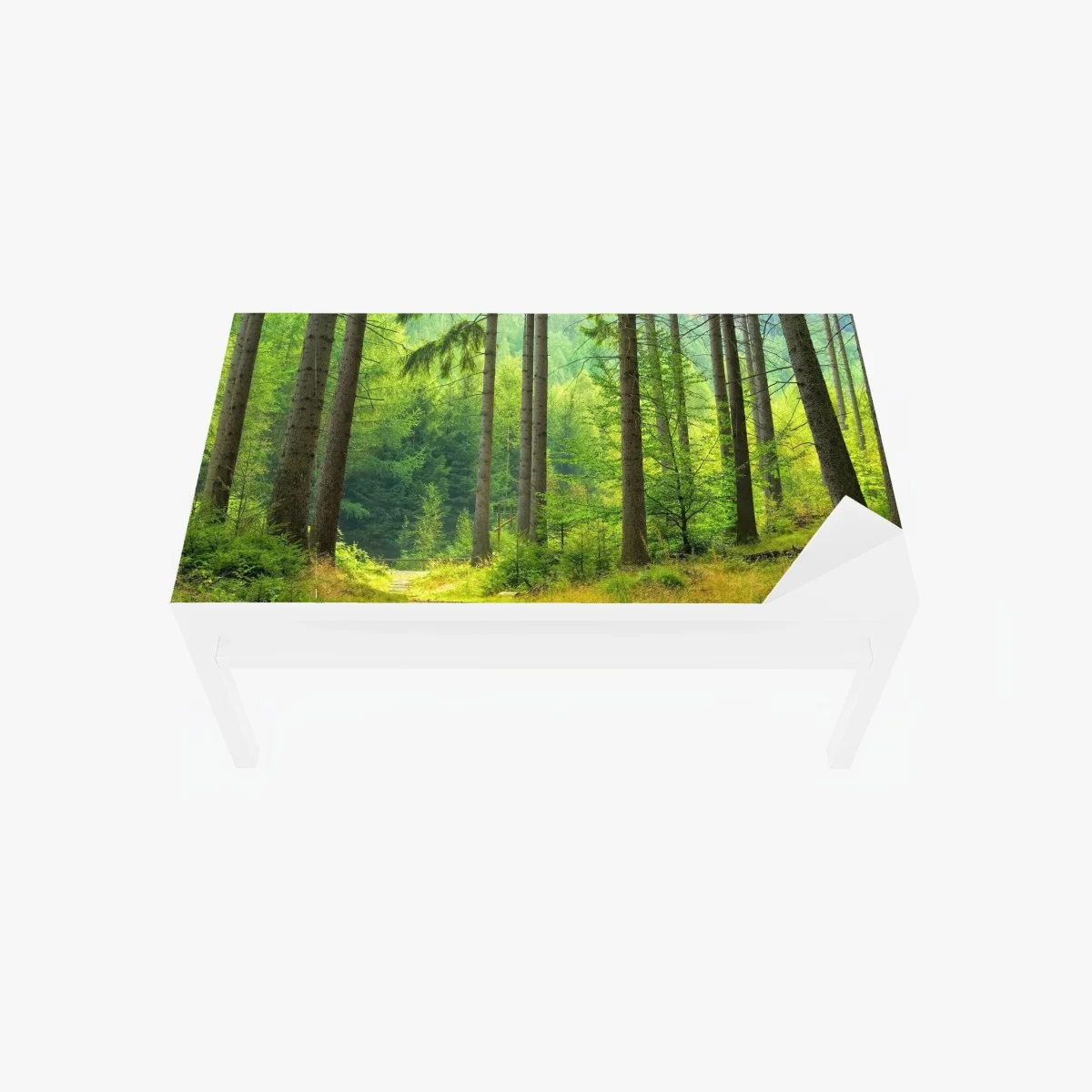 Table & desk veneer sunlit forest trail • Wallissimo® Table & desk veneer sunlit forest trail • Wallissimo®
