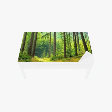 Table & desk veneer sunlit forest trail • Wallissimo®