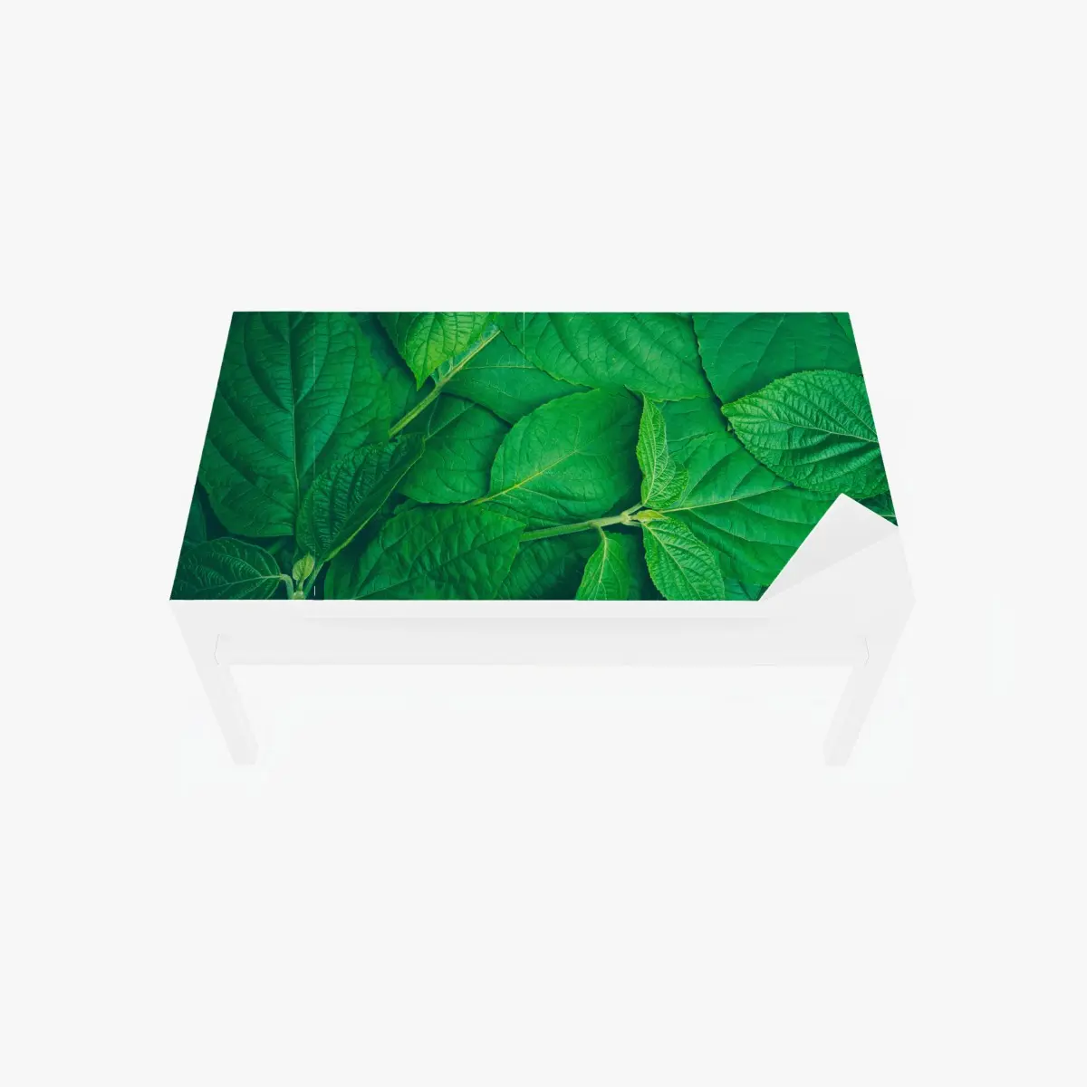Table & desk veneer lush green leaves texture • Wallissimo® Table & desk veneer lush green leaves texture • Wallissimo®