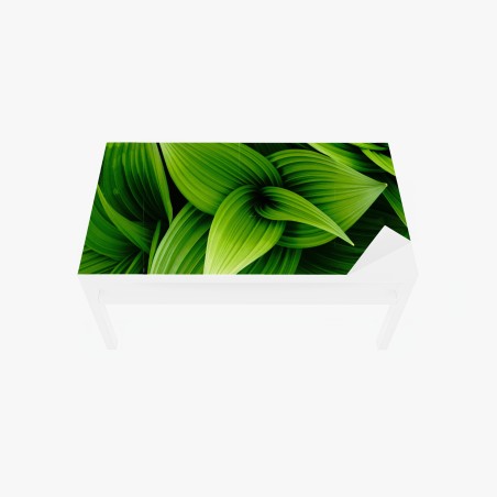 Table & desk veneer lush green leaves pattern • Wallissimo®