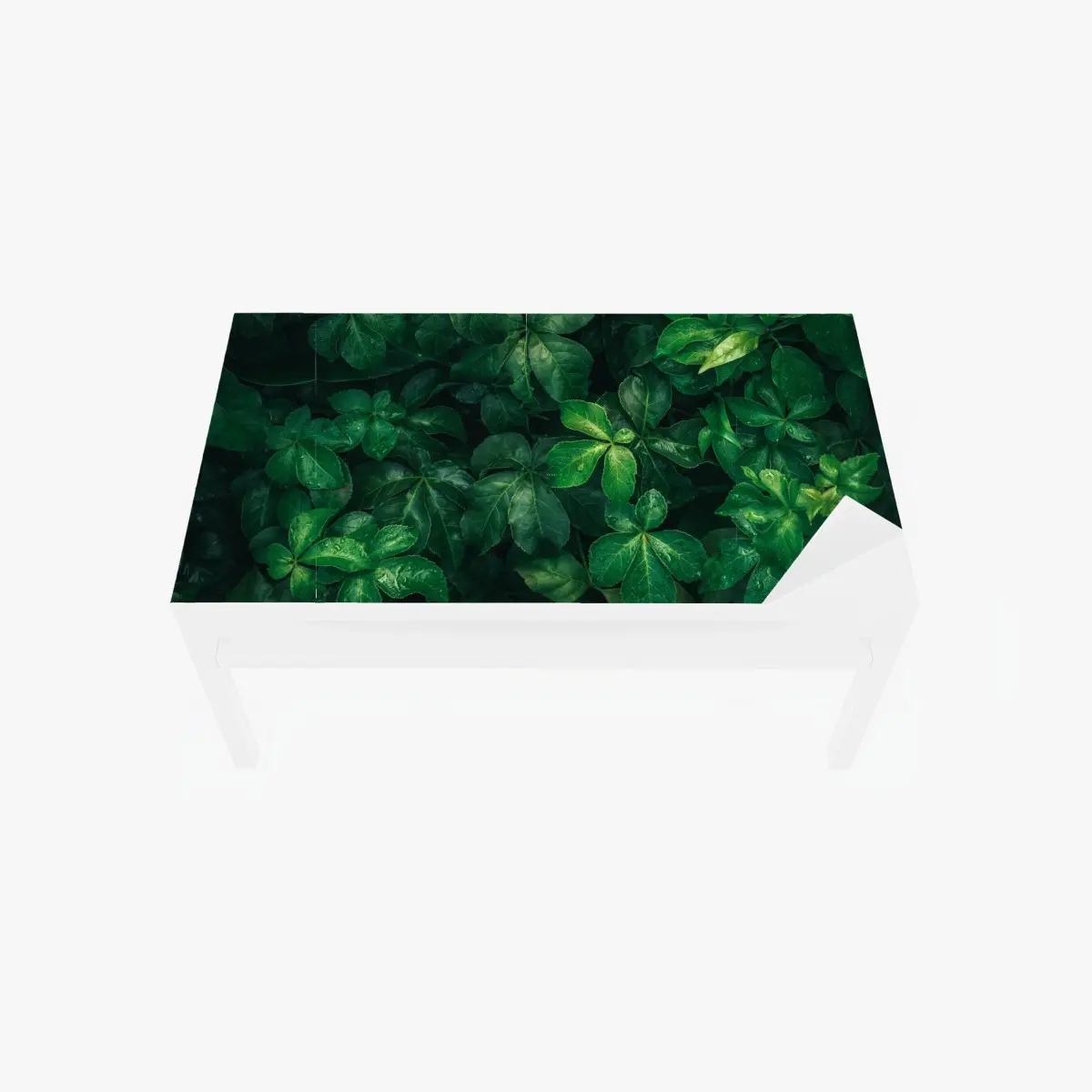 Table & desk veneer lush tropical green foliage ⁕ Wallissimo® Table & desk veneer lush tropical green foliage ⁕ Wallissimo®