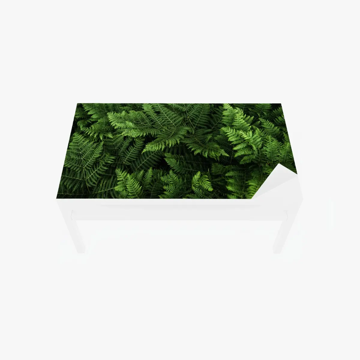 Table & desk veneer lush green fern foliage ⁕ Wallissimo® Table & desk veneer lush green fern foliage ⁕ Wallissimo®