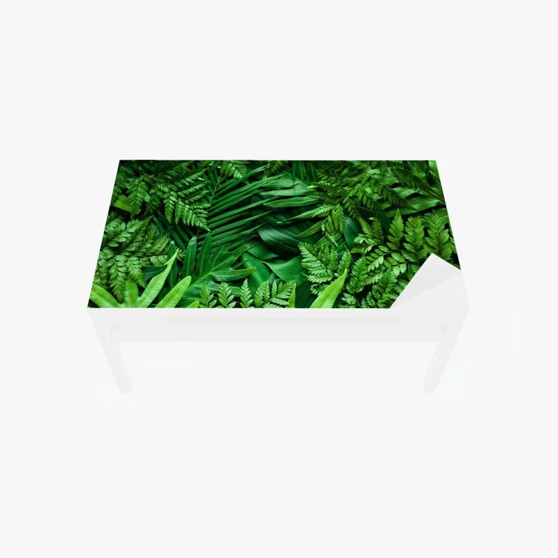 Table & desk veneer sunlit spring meadow at sunset • Wallissimo®