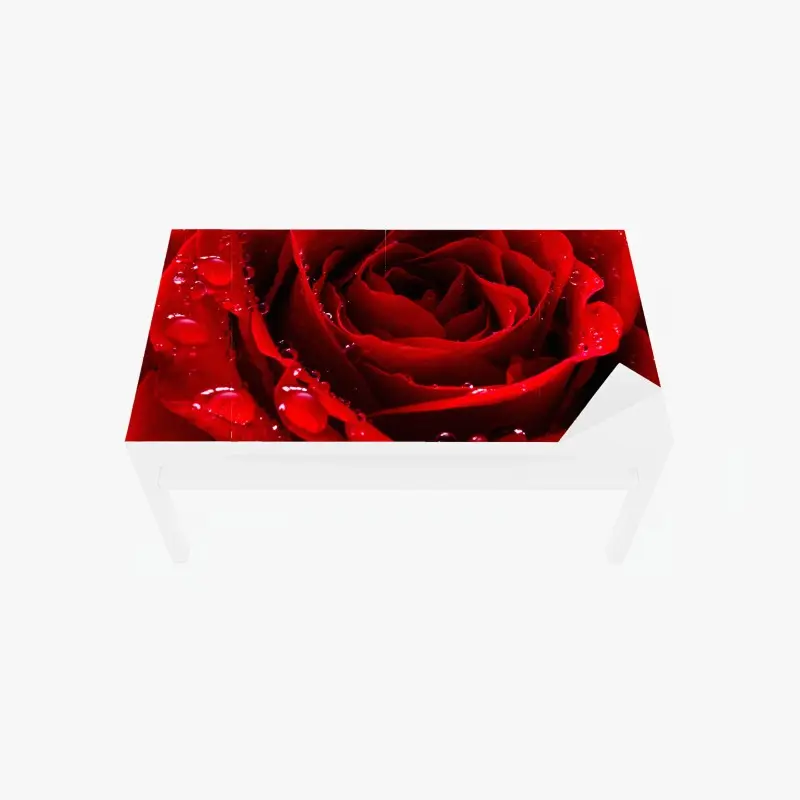Table & desk veneer vibrant red rose close-up