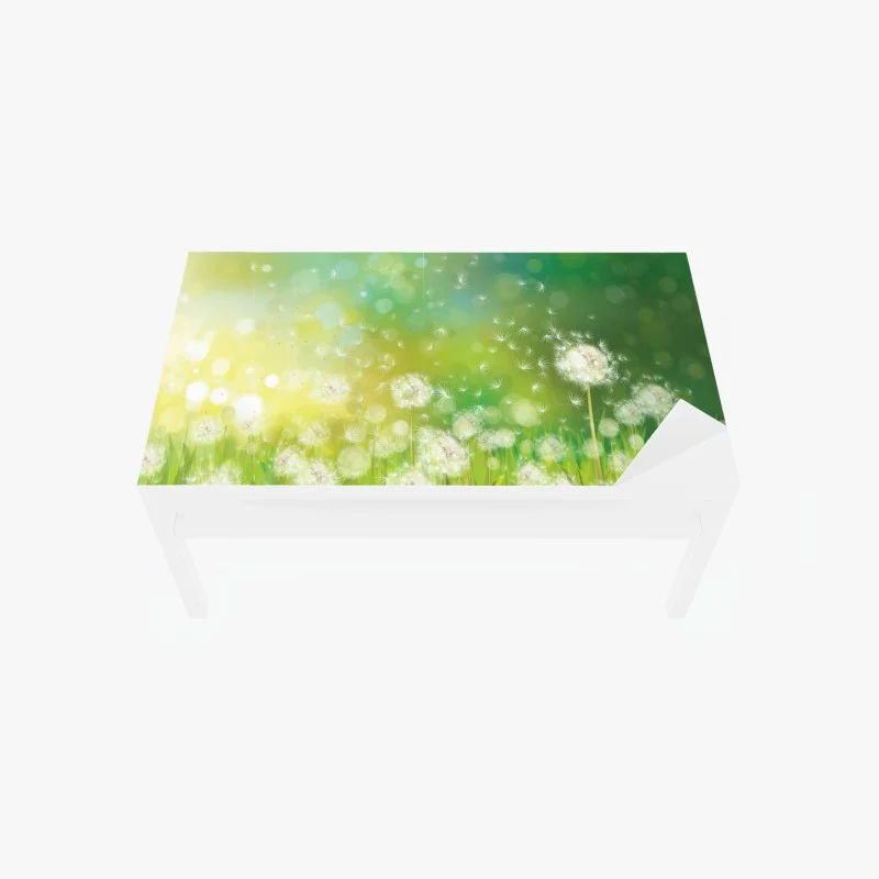 Table & desk veneer spring dandelion meadow