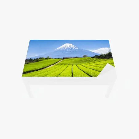 Table & desk veneer lush tea fields beneath Mount Fuji • Wallissimo®