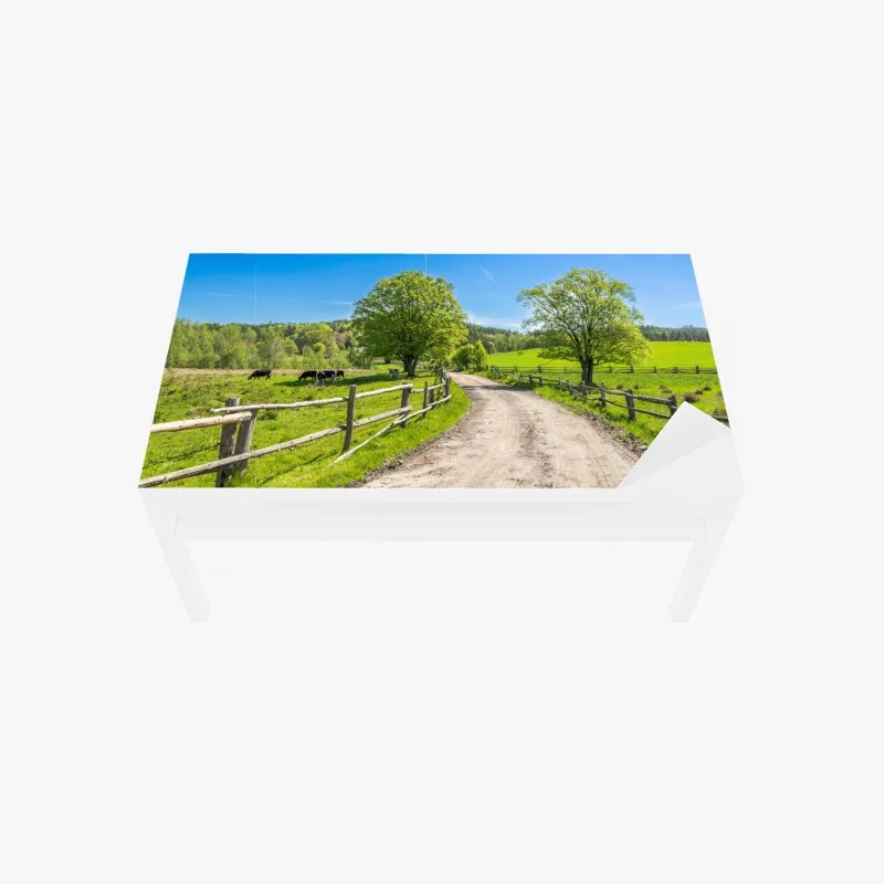 Table & desk veneer sunny country road through green meadows