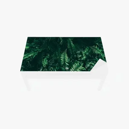 Table & desk veneer tropical green leaves composition • Wallissimo®
