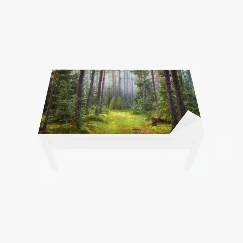 Table & desk veneer misty pine forest trail