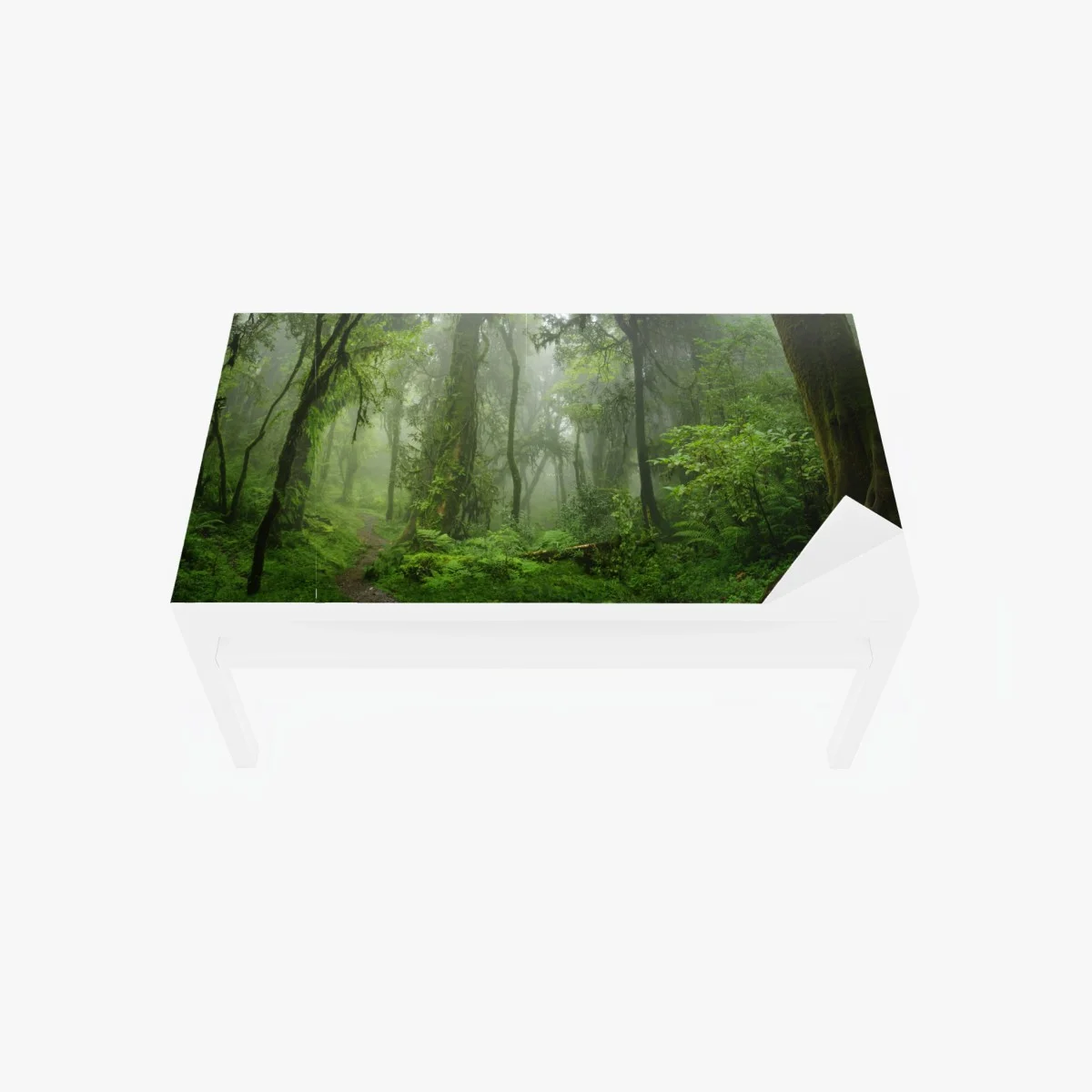 Table & desk veneer misty tropical jungle pathway ⁕ Wallissimo® Table & desk veneer misty tropical jungle pathway ⁕ Wallissimo®