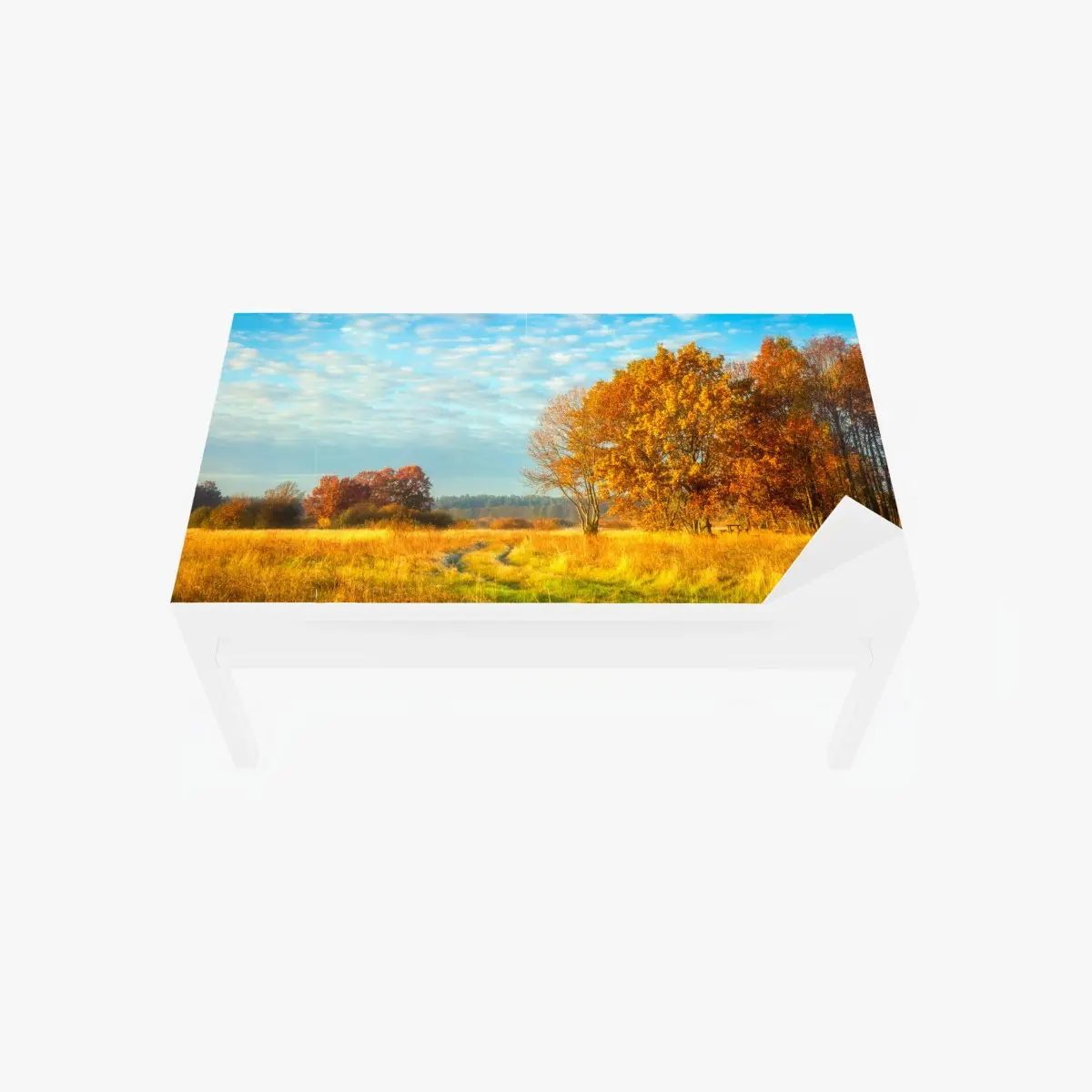 Table & desk veneer golden autumn meadow ⁕ Wallissimo® Table & desk veneer golden autumn meadow ⁕ Wallissimo®