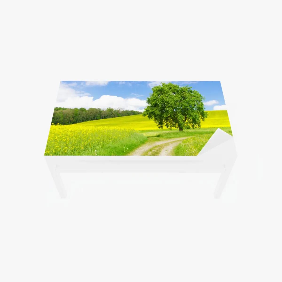 Table & desk veneer sunlit country path and lone tree ⁕ Wallissimo® Table & desk veneer sunlit country path and lone tree ⁕ Wallissimo®