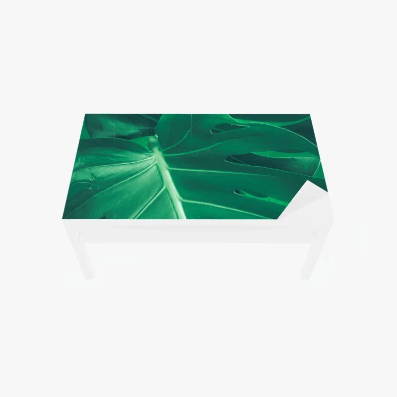 Table & desk veneer lush monstera leaf close-up