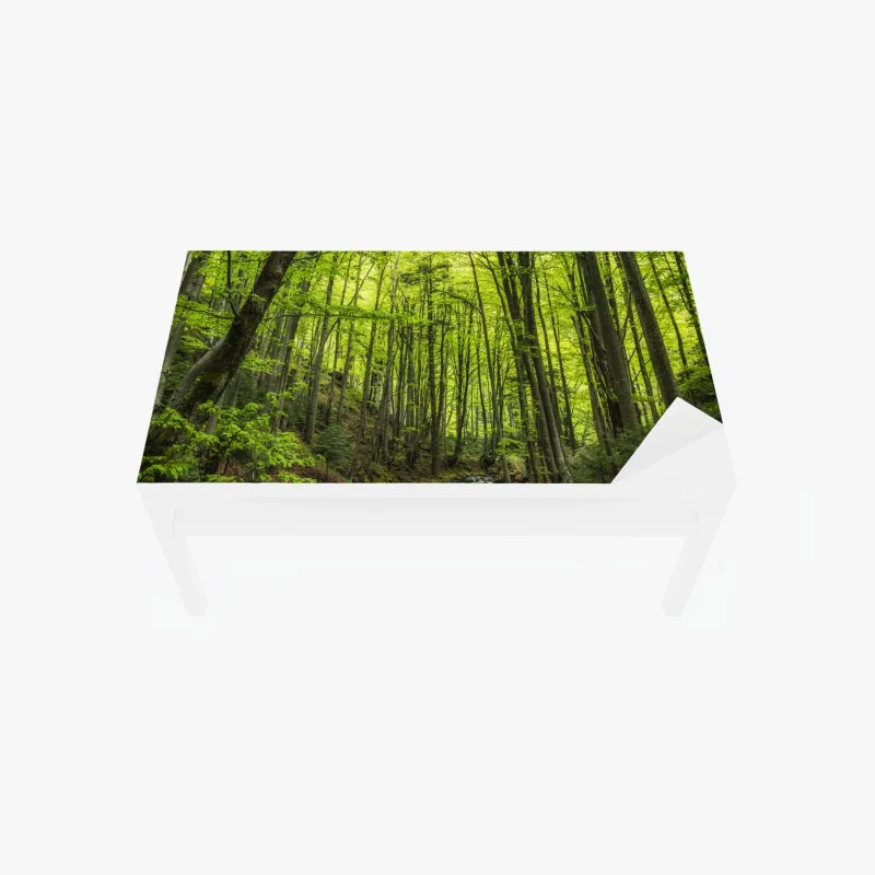 Table & desk veneer serene green forest stream