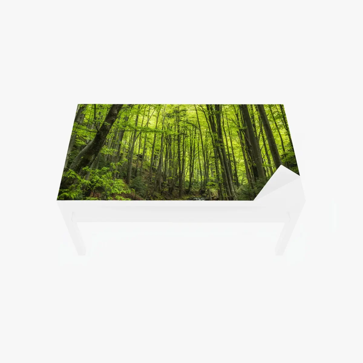 Table & desk veneer serene green forest stream • Wallissimo® Table & desk veneer serene green forest stream • Wallissimo®