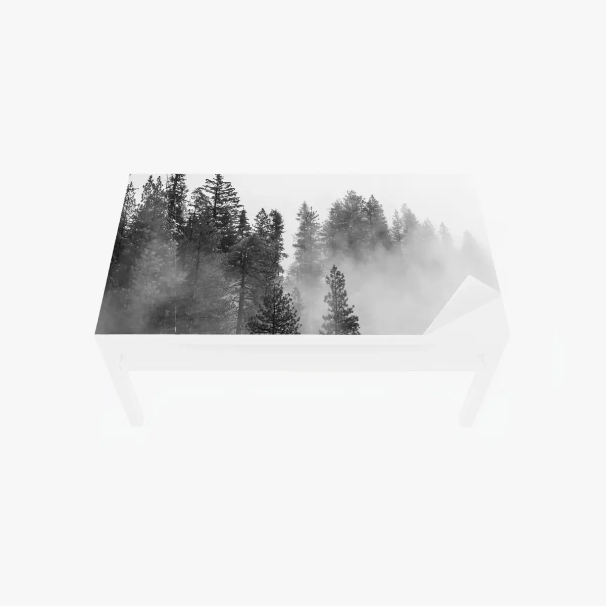 Table & desk veneer misty Giant Forest, Sequoia National Park • Wallissimo® Table & desk veneer misty Giant Forest, Sequoia National Park • Wallissimo®