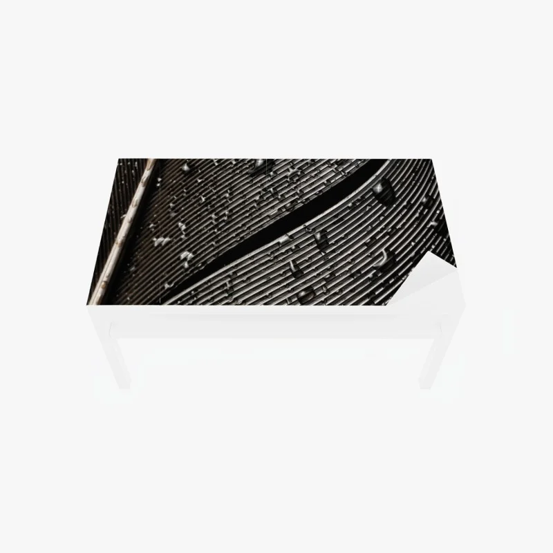 Table & desk veneer monochrome feather with water droplets
