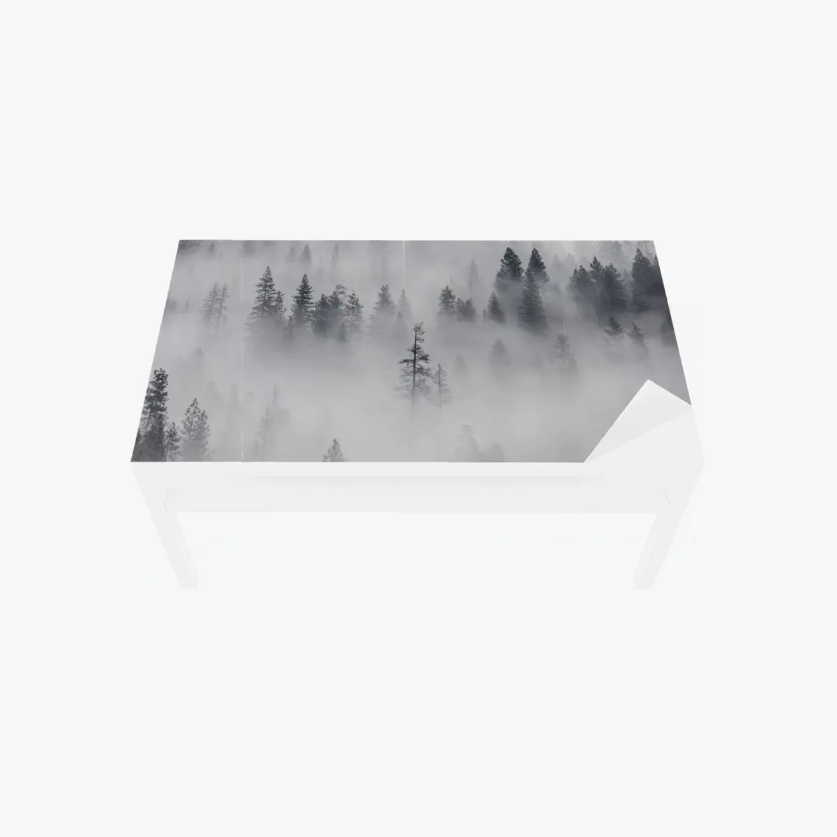Table & desk veneer mist-shrouded pine forest • Wallissimo® Table & desk veneer mist-shrouded pine forest • Wallissimo®