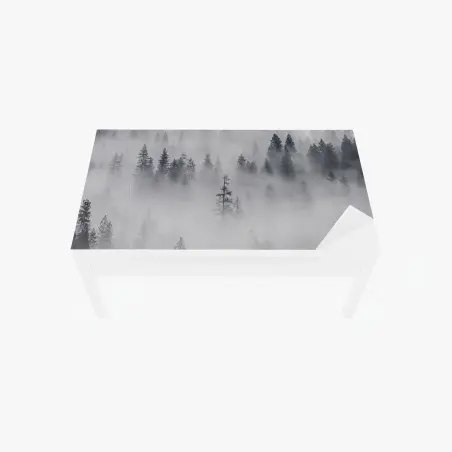Table & desk veneer mist-shrouded pine forest • Wallissimo®