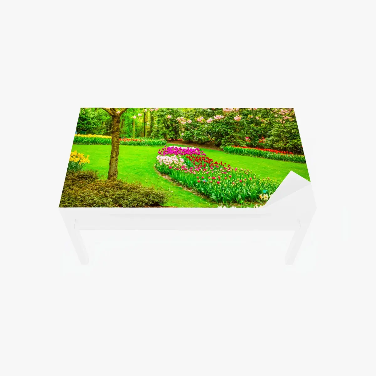 Table & desk veneer spring garden bloom: tulips and cherry blossoms • Wallissimo® Table & desk veneer spring garden bloom: tulips and cherry blossoms • Wallissimo®