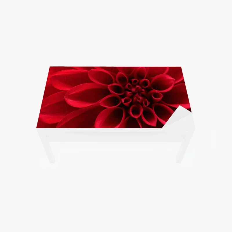 Table & desk veneer red dahlia close-up