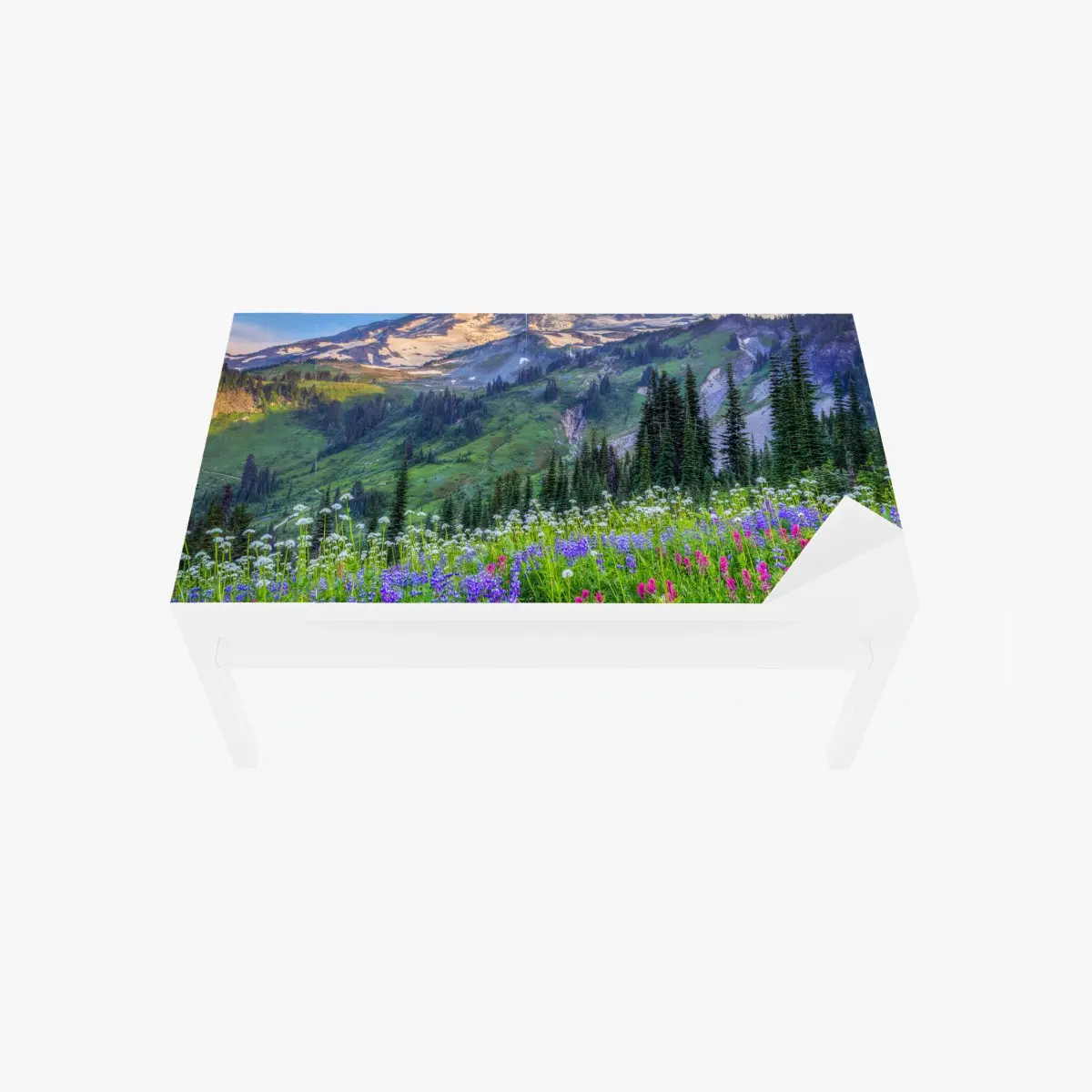 Table & desk veneer alpine wildflower meadow beneath snow-capped mountain ⁕ Wallissimo® Table & desk veneer alpine wildflower meadow beneath snow-capped mountain ⁕ Wallissimo®