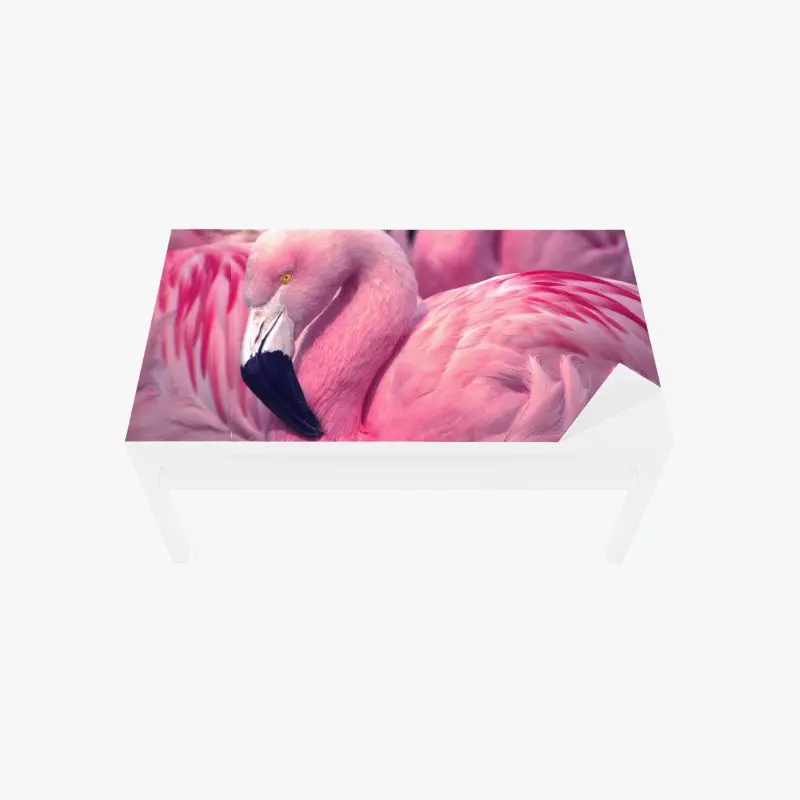 Table & desk veneer pink flamingo close-up