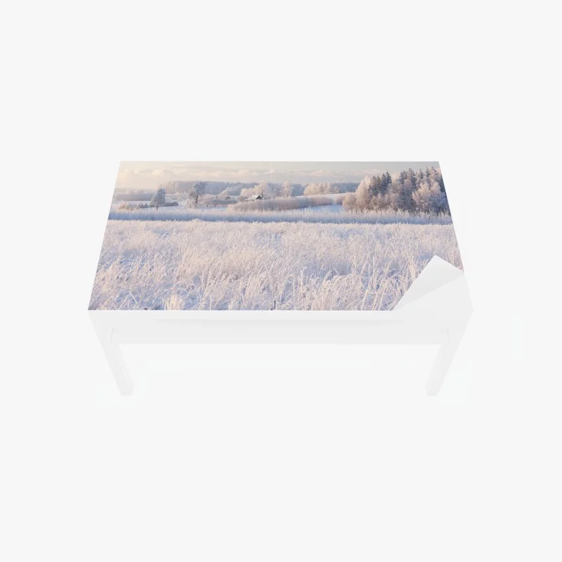 Table & desk veneer frosted winter meadow at dawn