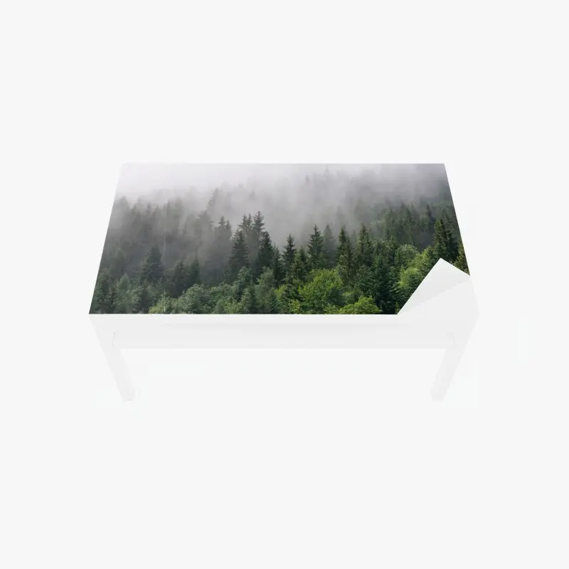 Table & desk veneer misty evergreen forest panorama
