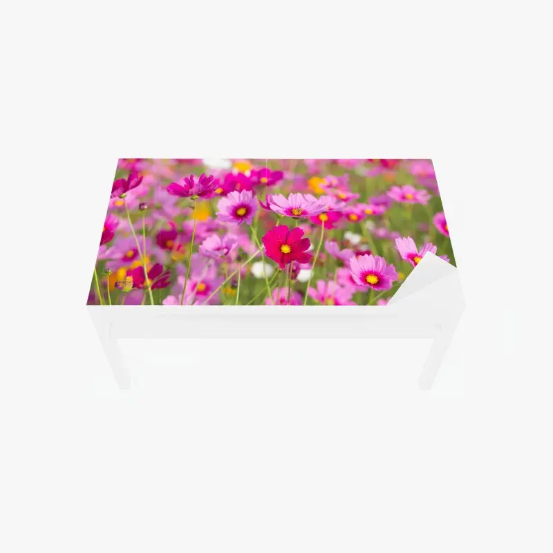 Table & desk veneer • Wallissimo®