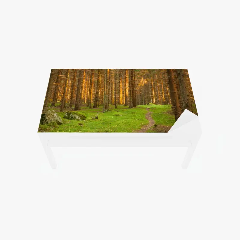 Table & desk veneer mountain trail through alpine forest • Wallissimo®