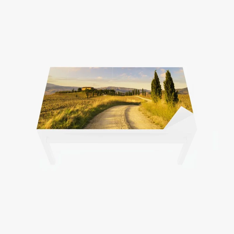 Table & desk veneer golden country road through cypress trees