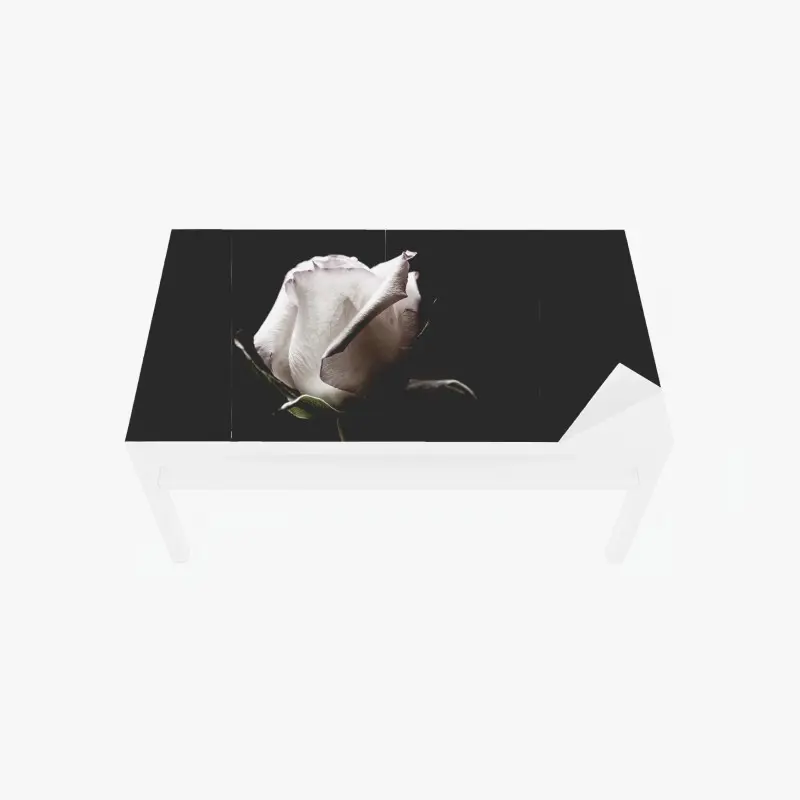 Table & desk veneer white rose on black background ⁕ Wallissimo® Table & desk veneer white rose on black background ⁕ Wallissimo®