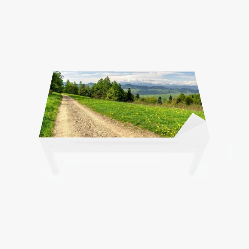 Table & desk veneer Gorce Mountains spring trail