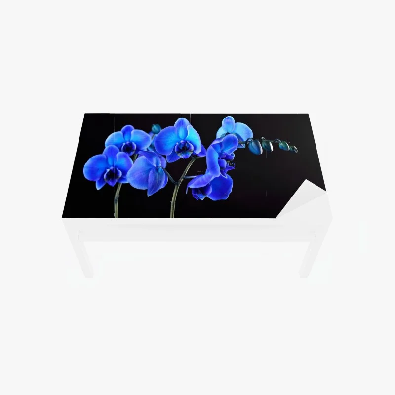 Table & desk veneer vibrant blue orchid on black background