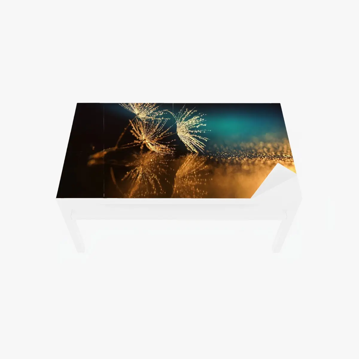 Table & desk veneer golden dandelion seed reflection • Wallissimo® Table & desk veneer golden dandelion seed reflection • Wallissimo®