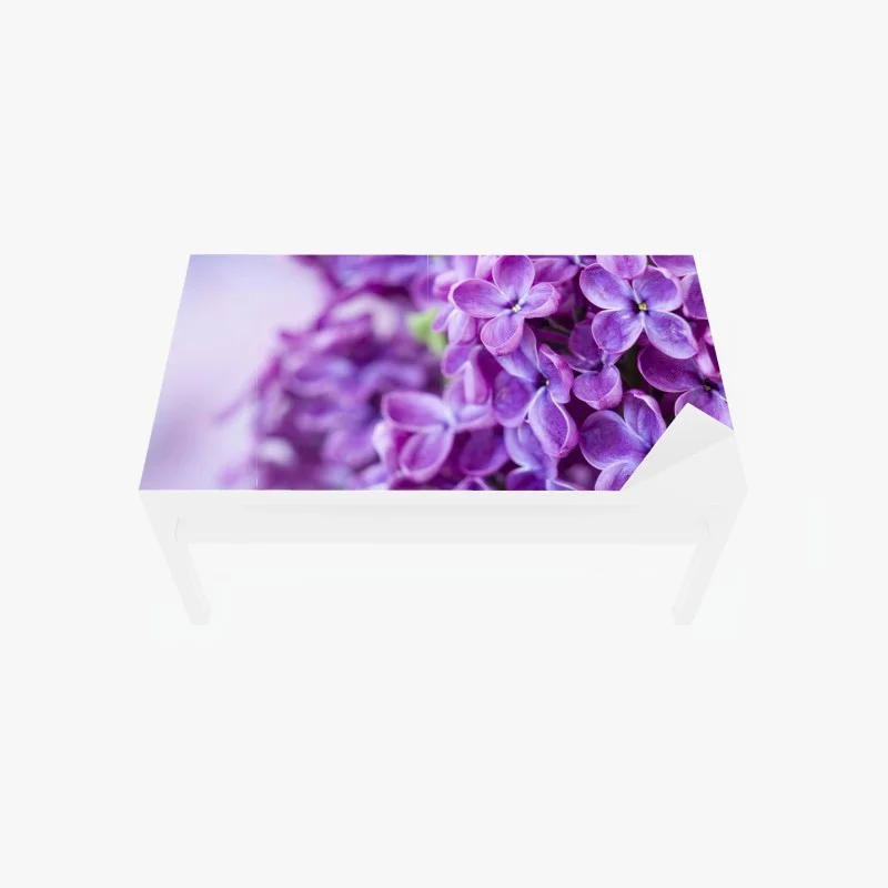 Table & desk veneer purple lilac blossoms close-up