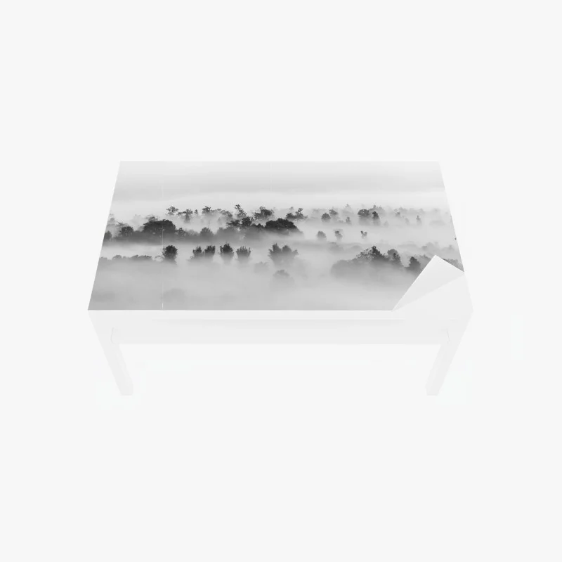 Table & desk veneer mist-covered forest in monochrome