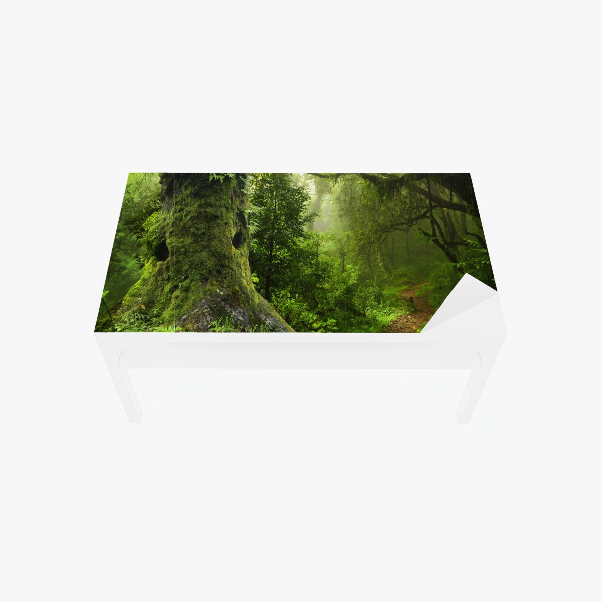 Table & desk veneer mossy ancient forest path • Wallissimo® Table & desk veneer mossy ancient forest path • Wallissimo®