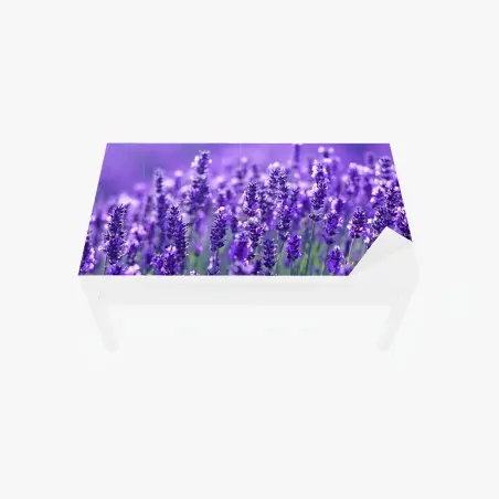 Table & desk veneer lavender meadow close-up • Wallissimo®