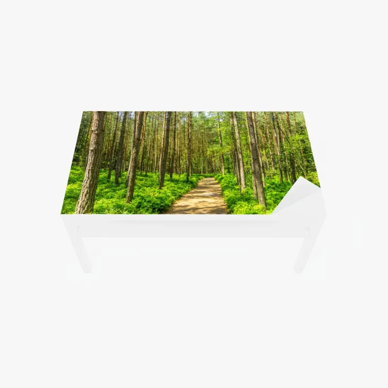 Table & desk veneer sunlit forest path through green pines