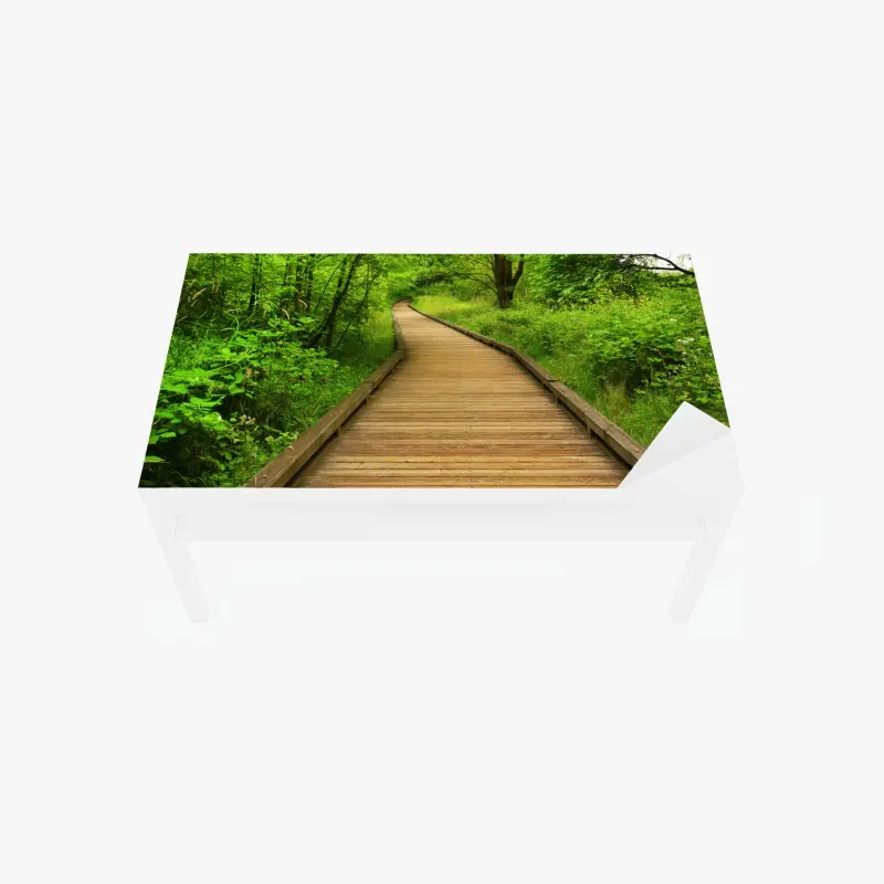 Table & desk veneer serene forest boardwalk pathway