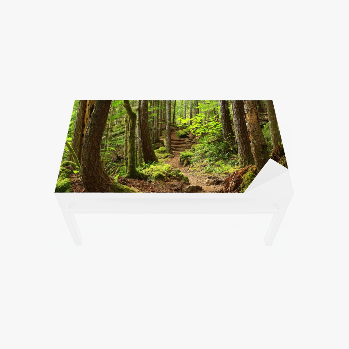 Table & desk veneer mossy forest trail • Wallissimo® Table & desk veneer mossy forest trail • Wallissimo®