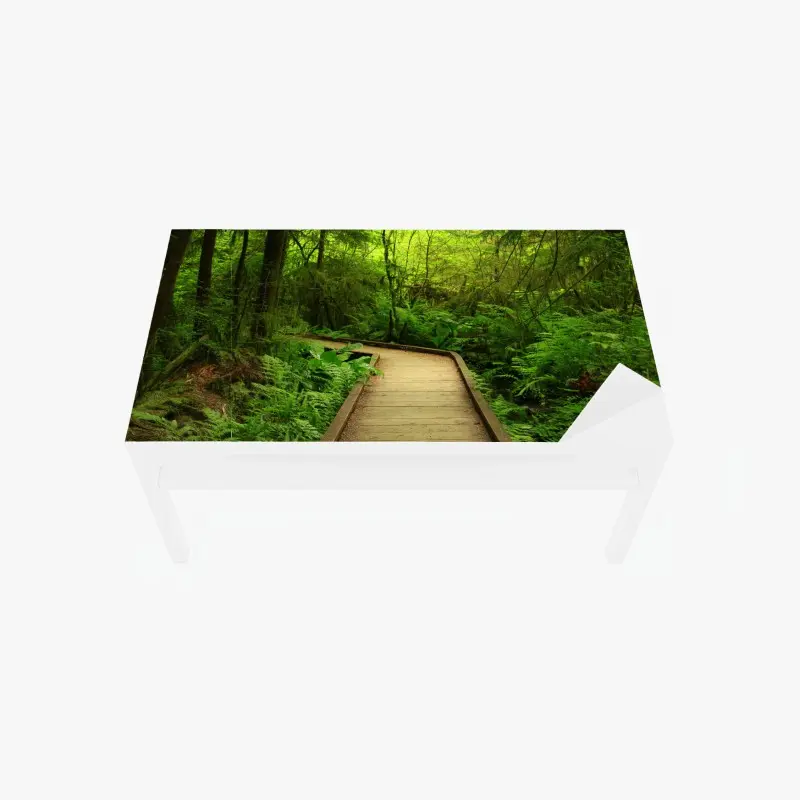 Table & desk veneer serene green forest boardwalk