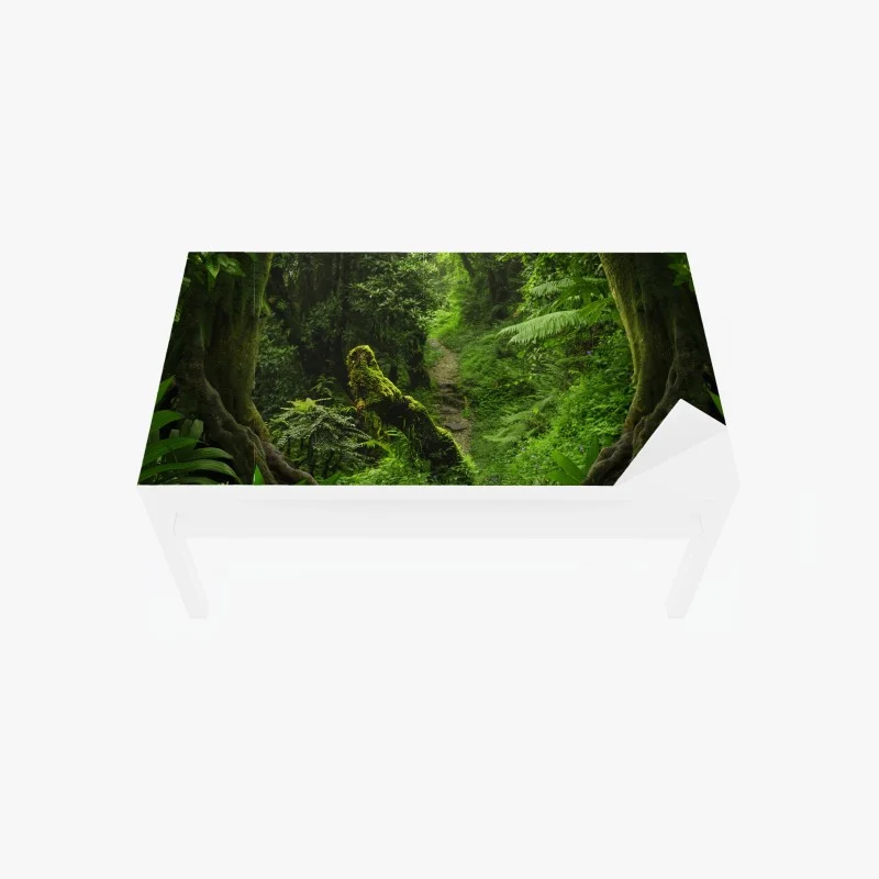 Table & desk veneer enchanted mossy forest pathway