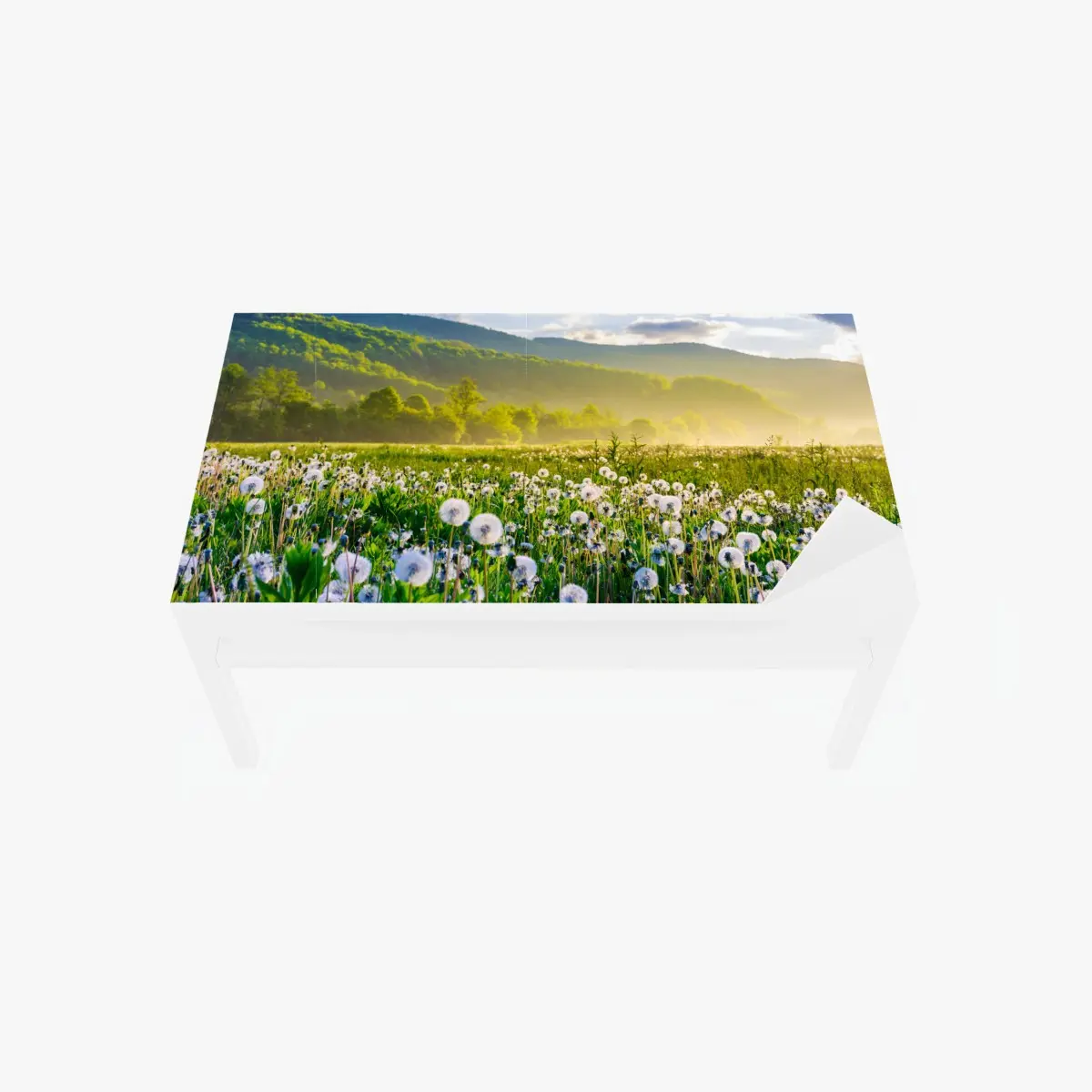 Table & desk veneer misty dandelion meadow at sunrise ⁕ Wallissimo® Table & desk veneer misty dandelion meadow at sunrise ⁕ Wallissimo®