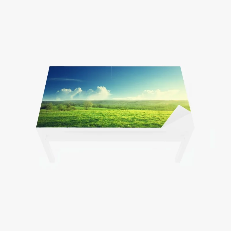 Table & desk veneer sunlit spring meadow at sunset